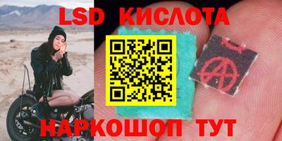 прущие крисы Нижний Тагил