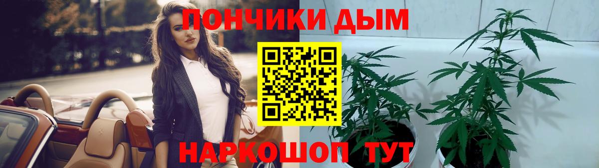 Бошки марихуана White Widow Курчатов